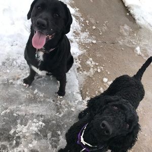 Meet your Posher, Katrina